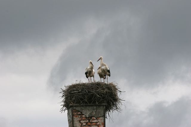 img_4368.jpg