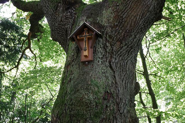 190_gullesheim.jpg