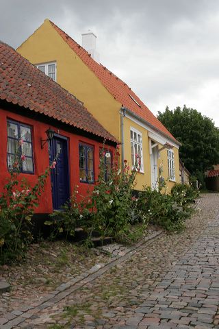 335.jpg