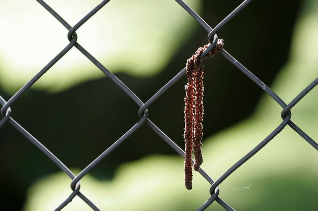 _mg_4567.jpg