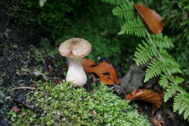 _mg_7386.jpg