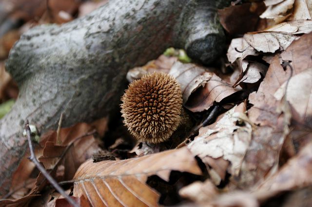 _mg_7389.jpg