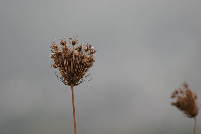 _mg_7450.jpg