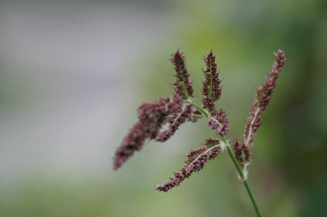 _mg_7454.jpg