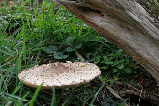 _mg_7461.jpg