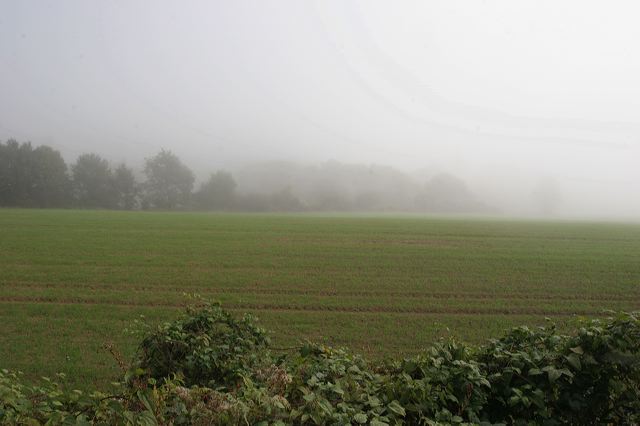 02_herbstfeld.jpg