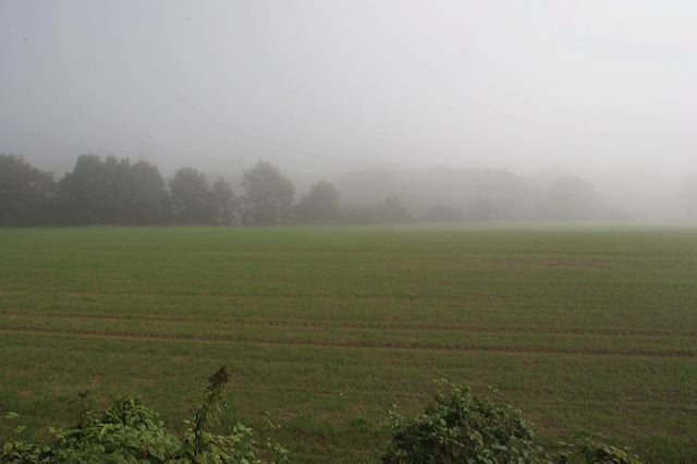 03_herbstfeld.jpg