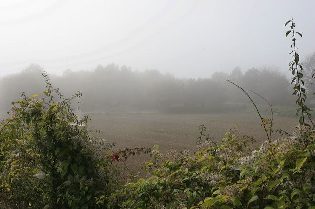 04_herbstfeld.jpg