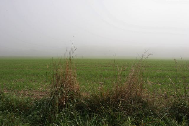 06_herbstfeld.jpg