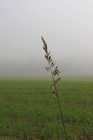 11_herbstfeld.jpg