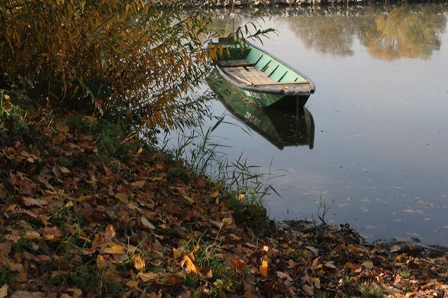 64_wurzburg.jpg