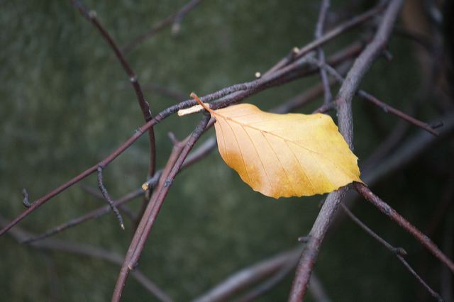 _mg_5911.jpg