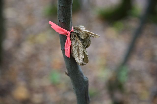 _mg_5913.jpg