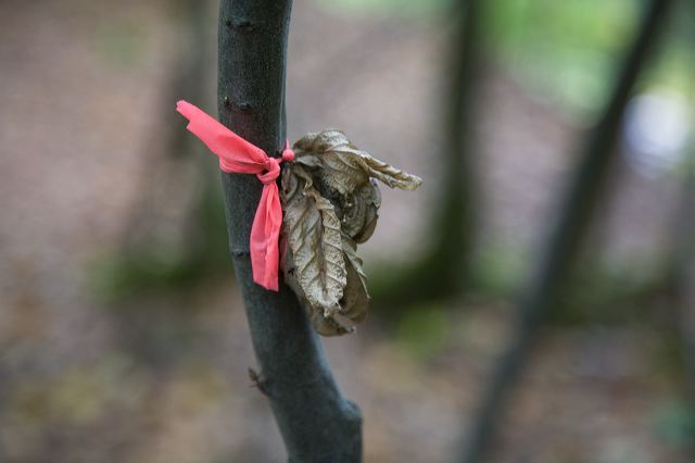 _mg_5914.jpg