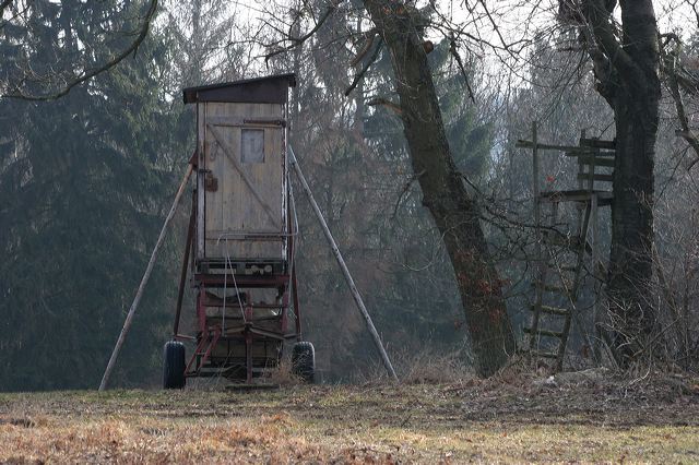 11_hochsitz.jpg