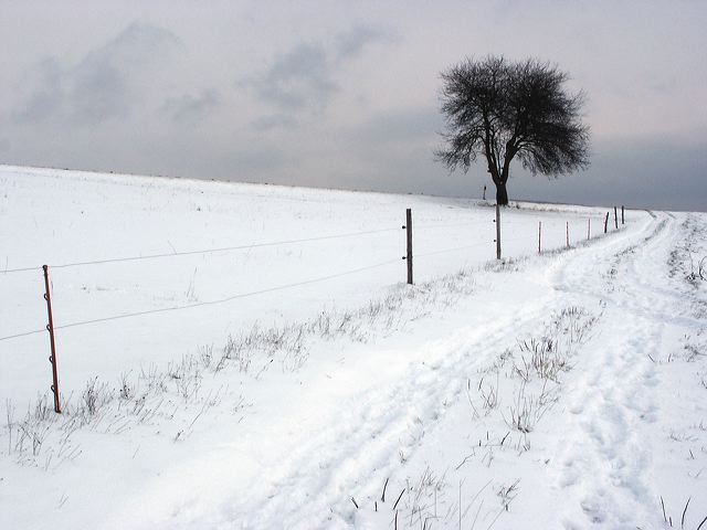 14_schneelandschaft.jpg