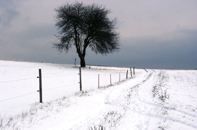 16_schneelandschaft.jpg
