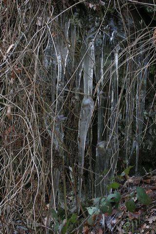 18_eiszapfen.jpg