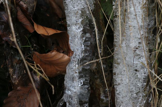 27_eiszapfen.jpg
