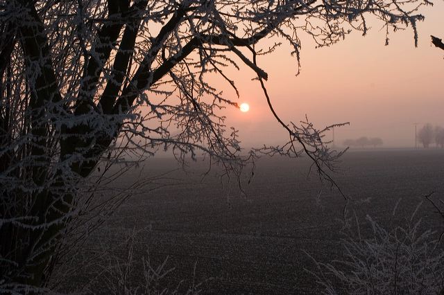 _mg_0173.jpg