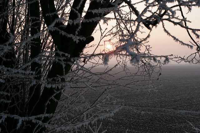 _mg_0174.jpg