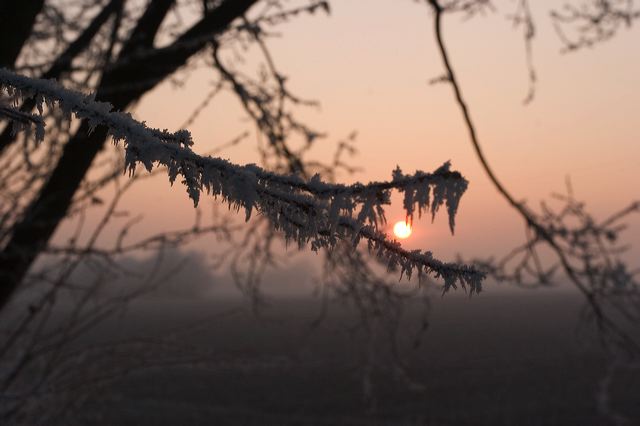 _mg_0175.jpg