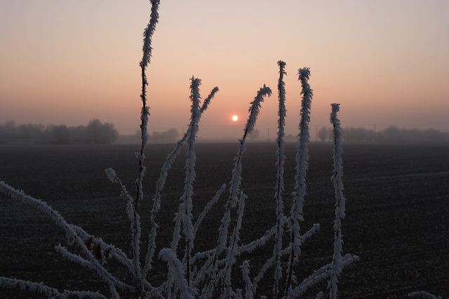 _mg_0178.jpg