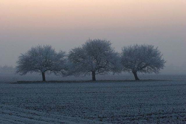 _mg_0203.jpg