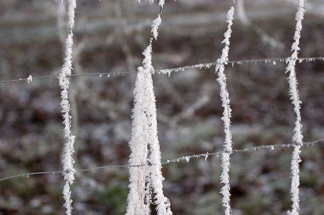_mg_0208.jpg