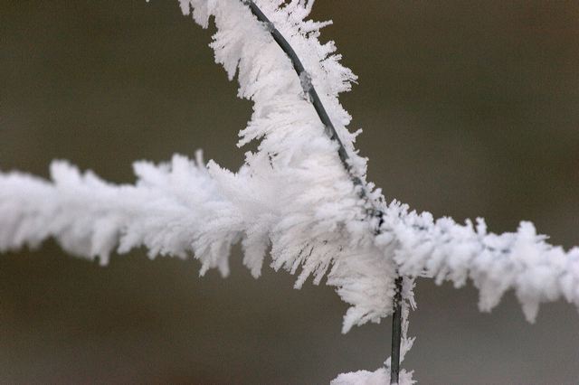 _mg_0212.jpg