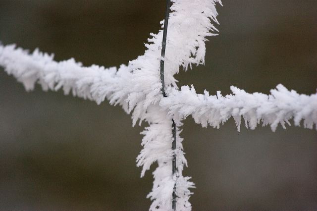 _mg_0213.jpg