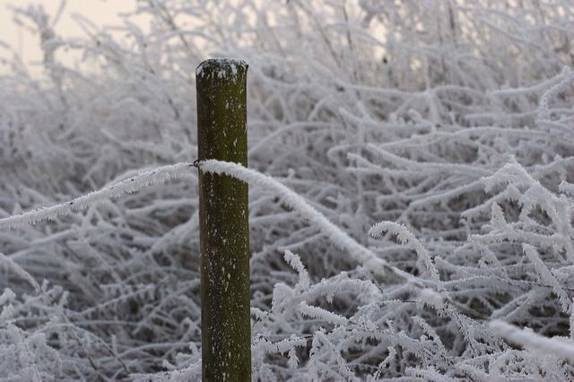 _mg_0215.jpg