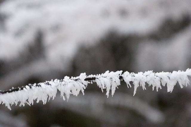 _mg_0216.jpg