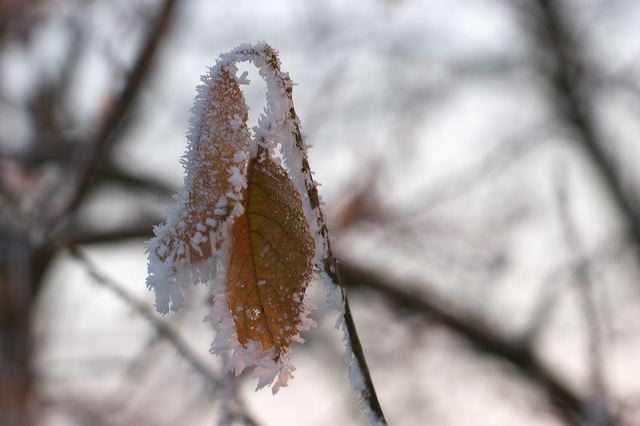 _mg_0221.jpg