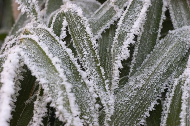 _mg_0226.jpg