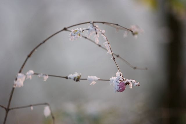 _mg_0233.jpg