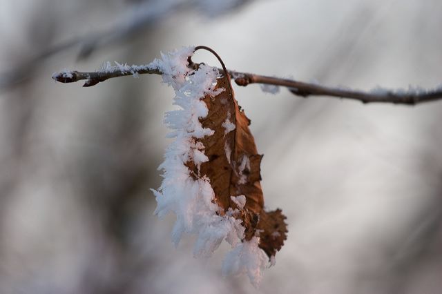 _mg_0234.jpg