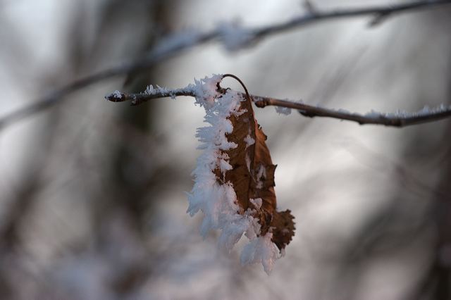 _mg_0235.jpg