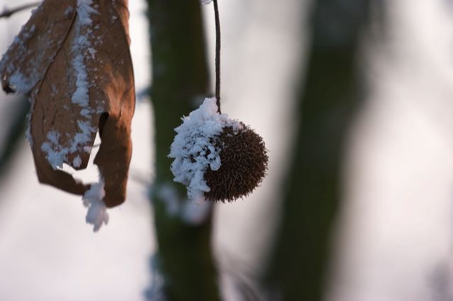 _mg_0237.jpg
