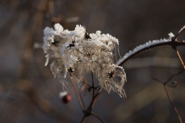 _mg_0267.jpg