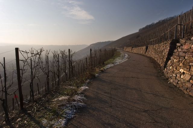 _mg_0299.jpg