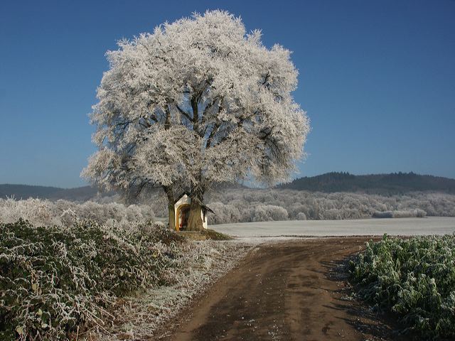 heilgenhauschen_06.jpg