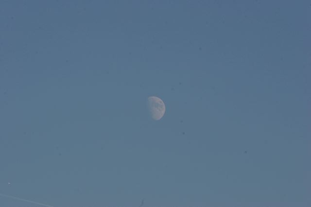 img_7111.jpg