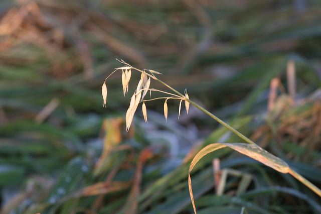 img_7135.jpg