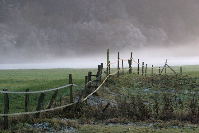 img_7153_nebel.jpg