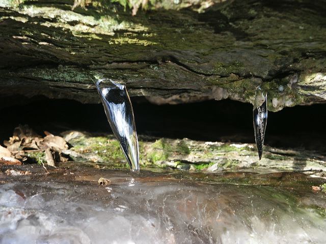 pict1347.jpg