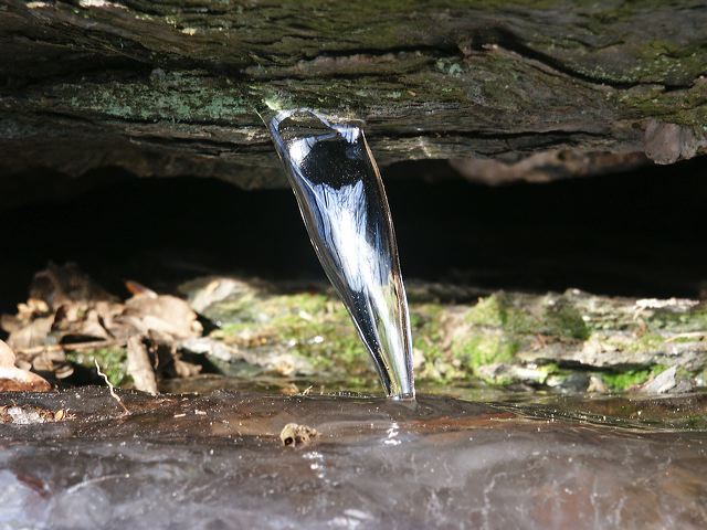 pict1349.jpg