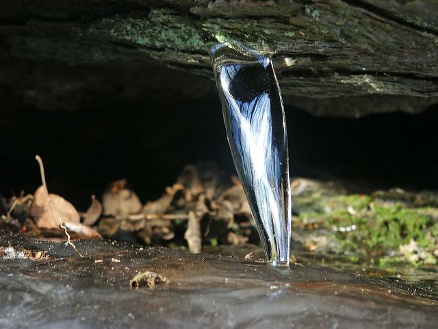 pict1353.jpg
