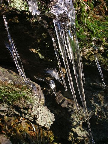 pict1359.jpg