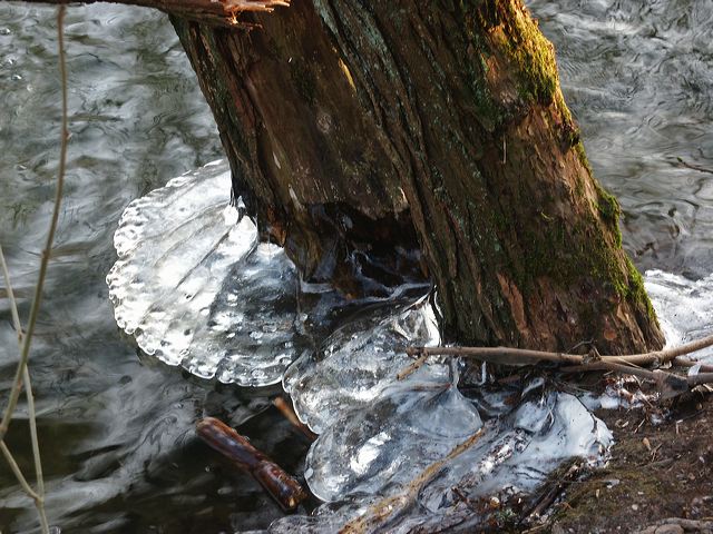 pict1370.jpg